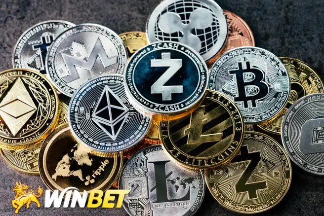 USDT 虛擬貨幣交易所是什麼?